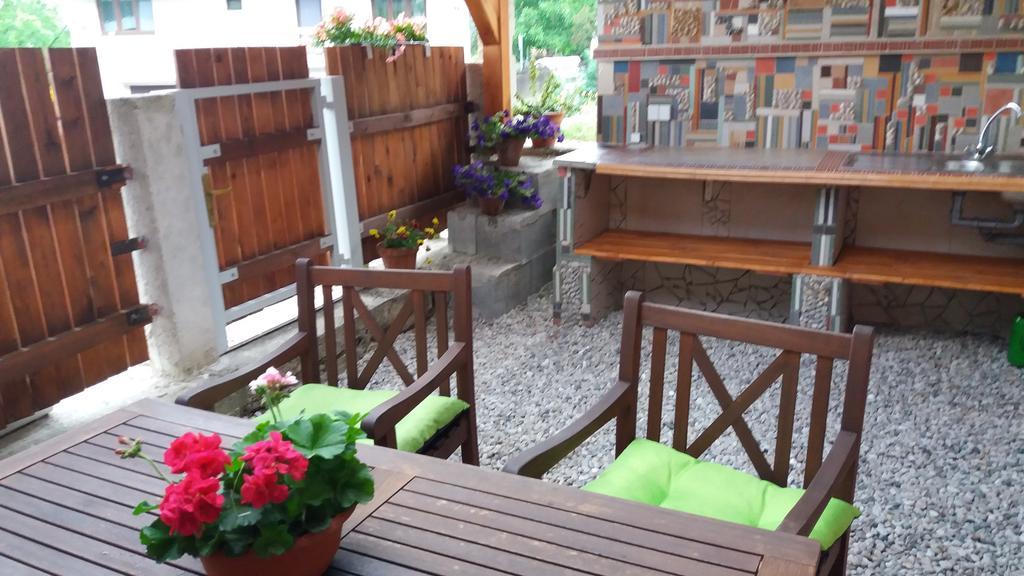 Apartmany Sharka -Sarka Justrova Decin Extérieur photo
