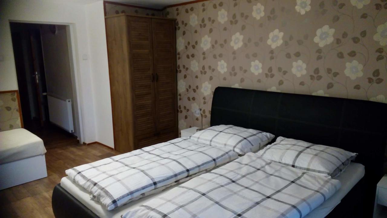 Apartmany Sharka -Sarka Justrova Decin Extérieur photo