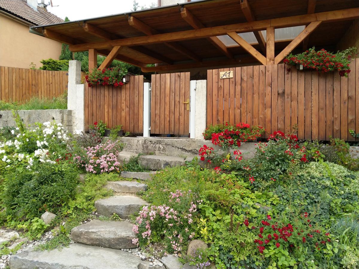 Apartmany Sharka -Sarka Justrova Decin Extérieur photo