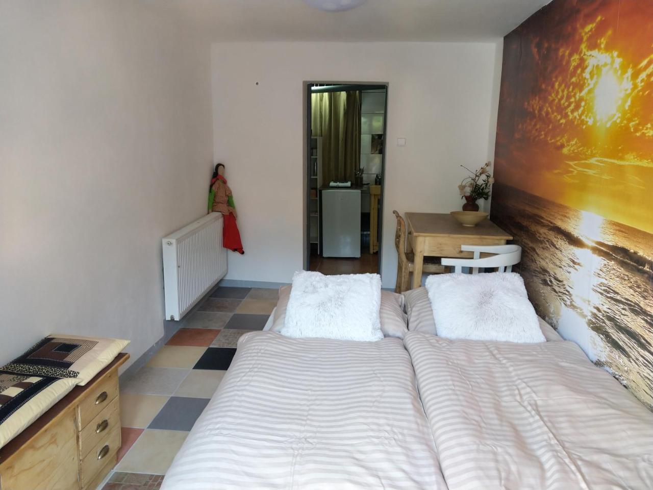 Apartmany Sharka -Sarka Justrova Decin Extérieur photo