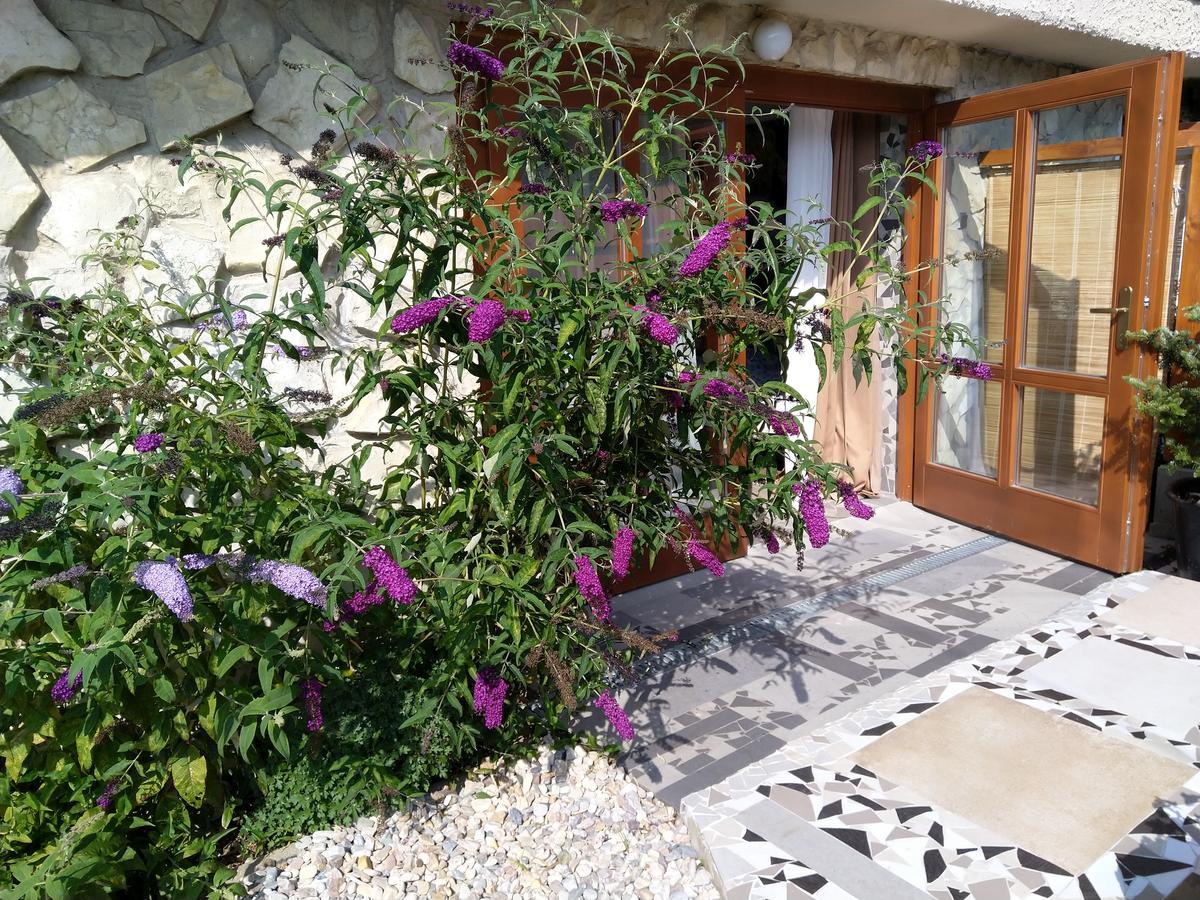 Apartmany Sharka -Sarka Justrova Decin Extérieur photo